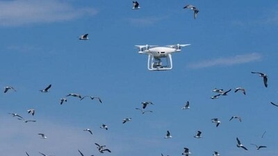 A drone used by technicians above the future site of a wind farm. (AFP) A drone used by technicians above the future site of a wind farm. (AFP)