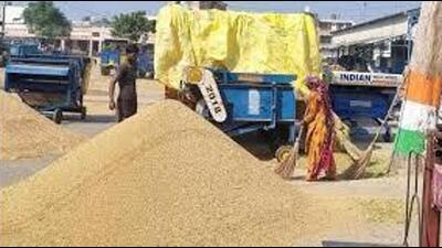A total of 111 lakh tonnes of paddy has arrived in the mandis across Punjab, out of which 105.09 LMT of grains have been procured so far. (HT File)
