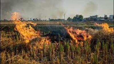 Malvinder Singh Kang said that the Bhagwant Mann government was continuously raising awareness and providing support to farmers to prevent stubble burning. (HT File)