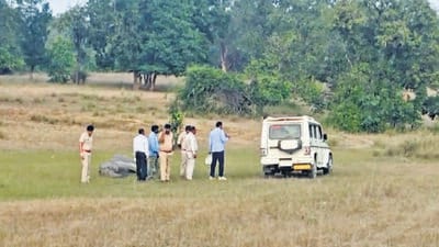 Officials inspect the site where an elephant was found dead on October 30. (PTI)