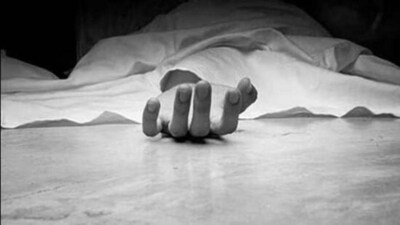 Police in Jabalpur solved a murder case with the help of some persistent flies (Representational image) Police in Jabalpur solved a murder case with the help of some persistent flies (Representational image)