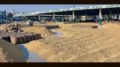 Providing agency-wise procurement details, the deputy commissioner said 56,980 MT of paddy had been purchased by PUNGRAIN. (HT File Photo)