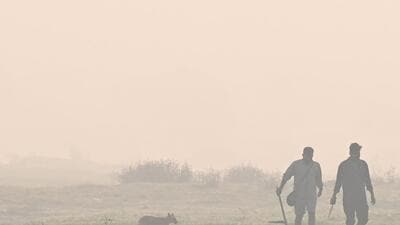 Singh claimed that paddy straw burning was also prevalent in Pakistan. (representational image) (HT File) Singh claimed that paddy straw burning was also prevalent in Pakistan. (representational image) (HT File)
