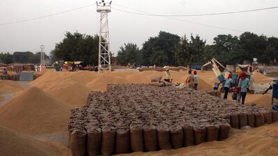 The Food Corporation of India, the Centre’s main grain-handling arm, and its partner agencies in the state have procured 9.4 million tonne of paddy out of the 10 million tonne brought to markets by growers till November 4, Union minister Pralhad Joshi said (HT Photo) The Food Corporation of India, the Centre’s main grain-handling arm, and its partner agencies in the state have procured 9.4 million tonne of paddy out of the 10 million tonne brought to markets by growers till November 4, Union minister Pralhad Joshi said (HT Photo)