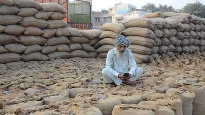 The production of total summer-sown foodgrains, or cereals, for 2024-25 is projected to be 164.7 million tonne, which is higher by 8.9 million tonne, about 6%, compared to previous year’s kharif food grain production of 155.4 million tonne. (HT Photo) The production of total summer-sown foodgrains, or cereals, for 2024-25 is projected to be 164.7 million tonne, which is higher by 8.9 million tonne, about 6%, compared to previous year’s kharif food grain production of 155.4 million tonne. (HT Photo)