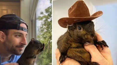 Why did New York euthanise Peanut the Squirrel? 'Peanut's Law' introduced (peanut_the_squirrel12/Instagram) Why did New York euthanise Peanut the Squirrel? 'Peanut's Law' introduced (peanut_the_squirrel12/Instagram)