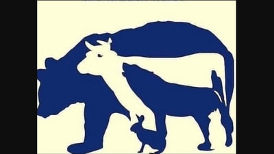 Animals are hidden in the illustration's blue and white silhouettes and you need to name as many of them as you can (X/@Rainmaker1973) Animals are hidden in the illustration's blue and white silhouettes and you need to name as many of them as you can (X/@Rainmaker1973)