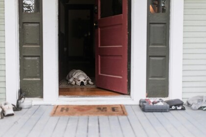 Desensitize the doorbell for your dog. Desensitize the doorbell for your dog.