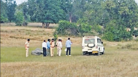 Officials inspect the site where an elephant was found dead on October 30. (PTI)