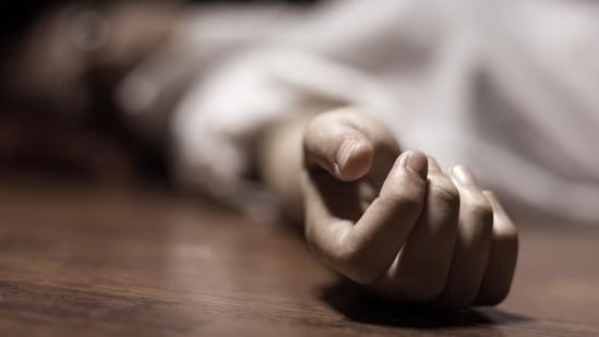 The youth, along with his friend in the car, were booked by the Bengaluru Police, and an investigation is ongoing. (Shutterstock)