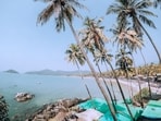 Indians say taxi mafia and overpriced hotels are reasons why they don't want to visit Goa anymore Indians say taxi mafia and overpriced hotels are reasons why they don't want to visit Goa anymore