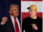 Tesla shares soared after the victory of Republican candidate Donald Trump in the US elections whom CEO Elon Musk had personally endorsed