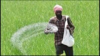 “About 70% of the total demand of DAP for the rabi season has already been met,” the agriculture minister said. (HT File)