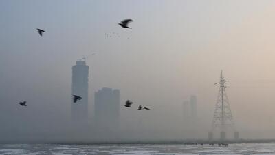 An average air quality index (AQI) of 356 (very poor) was recorded at 9am. (ANI) An average air quality index (AQI) of 356 (very poor) was recorded at 9am. (ANI)
