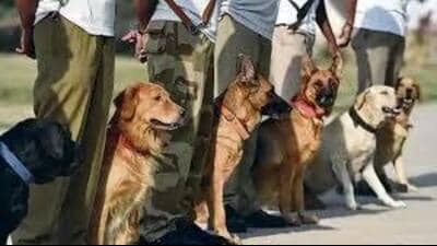 Currently, Haryana Police have a total of 63 dogs. (HT File)