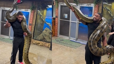 Man lifts the world’s heaviest snake on his shoulders effortlessly. (Screengrab Instagram/@therealtarzann) Man lifts the world’s heaviest snake on his shoulders effortlessly. (Screengrab Instagram/@therealtarzann)