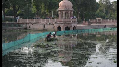 Kudia Ghat, where the Gomti river was still polluted. The work of removing hyacinth from the river continued till late on Wednesday evening. (Deepak Gupta/HT Photo) Kudia Ghat, where the Gomti river was still polluted. The work of removing hyacinth from the river continued till late on Wednesday evening. (Deepak Gupta/HT Photo)