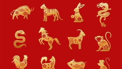 Read your weekly Chinese love horoscope based on your zodiac sign. (Freepik) Read your weekly Chinese love horoscope based on your zodiac sign. (Freepik)
