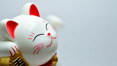 Read your lucky horoscope based on your Chinese zodiac sign. (Pexels)