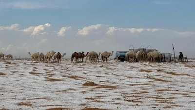 This is the 1st time Saudi Arabia's Al-Jawf saw snowfall This is the 1st time Saudi Arabia's Al-Jawf saw snowfall