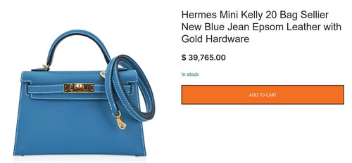 Khushi's blue Kelly bag costs $39,765, which is approximately ₹33 lakh. (mightychic.com) Khushi's blue Kelly bag costs $39,765, which is approximately ₹33 lakh. (mightychic.com)