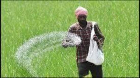 “About 70% of the total demand of DAP for the rabi season has already been met,” the agriculture minister said. (HT File)