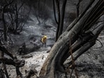 Firefighters work to control hotspots at Los Padres National Forest, where the Felicia Fire has burned more than 300-acres on October 4, 2024 in Piru, California. (Photo by Apu Gomes / GETTY IMAGES NORTH AMERICA / Getty Images via AFP)