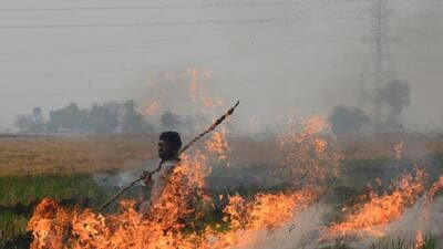 According to these rules, farmers with plots smaller than two acres will be fined ₹5,000 for each incidence of stubble burning incidence, up from ₹2,500. (ANI) According to these rules, farmers with plots smaller than two acres will be fined ₹5,000 for each incidence of stubble burning incidence, up from ₹2,500. (ANI)