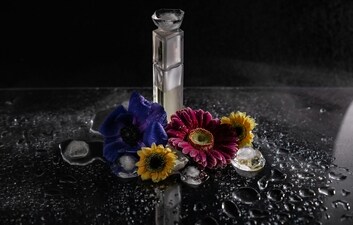 Top 10 mild fragrance perfumes for subtle, everyday elegance (Pexels) Top 10 mild fragrance perfumes for subtle, everyday elegance (Pexels)