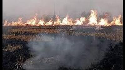 The NGT had sought a report from the board regarding the rising number of stubble burning incidents in Punjab causing air pollution in the National Capital Region (NCR) and other areas. (HT File) The NGT had sought a report from the board regarding the rising number of stubble burning incidents in Punjab causing air pollution in the National Capital Region (NCR) and other areas. (HT File)