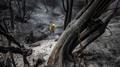 Firefighters work to control hotspots at Los Padres National Forest, where the Felicia Fire has burned more than 300-acres on October 4, 2024 in Piru, California. (Photo by Apu Gomes / GETTY IMAGES NORTH AMERICA / Getty Images via AFP) (Getty Images via AFP) Firefighters work to control hotspots at Los Padres National Forest, where the Felicia Fire has burned more than 300-acres on October 4, 2024 in Piru, California. (Photo by Apu Gomes / GETTY IMAGES NORTH AMERICA / Getty Images via AFP) (Getty Images via AFP)