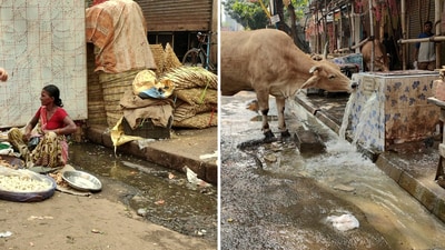 In his post, DS Balaji said the air in Kolkata was filled with the stench of urine, making it impossible for him to breathe properly. (X/@balajidbv) In his post, DS Balaji said the air in Kolkata was filled with the stench of urine, making it impossible for him to breathe properly. (X/@balajidbv)