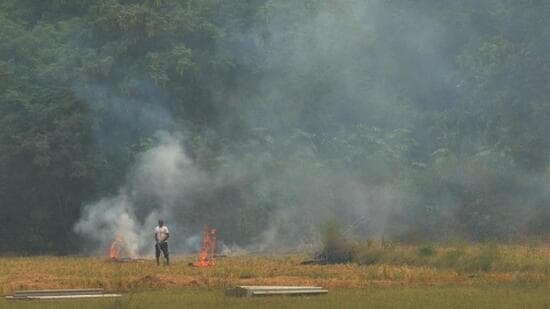 A farm fire near Amritsar in Punjab. (Sameer Sehgal/HT Photo)