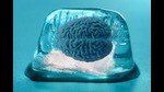 Still life: Cryogenics and the law in a possible future. (Shutterstock)