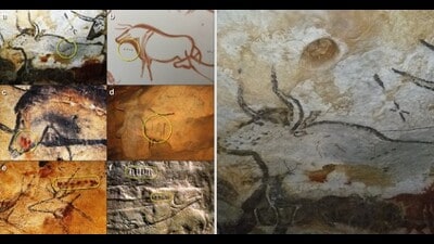 Dots, lines and Y-shaped symbols have been found near the paintings of deer and bison in France’s Lascaux caves. (Images via Wikimedia; Bennett Bacon et al, 2023) Dots, lines and Y-shaped symbols have been found near the paintings of deer and bison in France’s Lascaux caves. (Images via Wikimedia; Bennett Bacon et al, 2023)