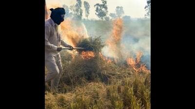 During the current kharif crop harvesting season, Sangrur, Tarn Taran and Ferozepur have registered a large number of paddy stubble burning incidents but there is no official data on air pollution at these places. Environment experts say in the absence of validated data, public policy to improve the air quality index (AQI) takes a backseat. (PTI File) During the current kharif crop harvesting season, Sangrur, Tarn Taran and Ferozepur have registered a large number of paddy stubble burning incidents but there is no official data on air pollution at these places. Environment experts say in the absence of validated data, public policy to improve the air quality index (AQI) takes a backseat. (PTI File)