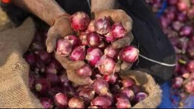 Onion prices, which were ₹60 per kg just two weeks ago, have surged to ₹80 per kg at apni mandis in Chandigarh and ₹90 per kg at retail shops. (HT File Photo) Onion prices, which were ₹60 per kg just two weeks ago, have surged to ₹80 per kg at apni mandis in Chandigarh and ₹90 per kg at retail shops. (HT File Photo)