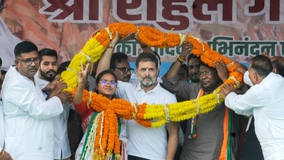 Lohardaga: Leader of Opposition in Lok Sabha and Congress leader Rahul Gandhi being garlanded during a public meeting in support of party candidate, Rameshwar Oraon ahead of the Jharkhand Assembly election, in Lohardaga district, Friday, Nov. 8, 2024. (PTI Photo)