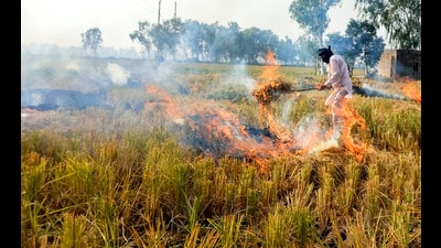 The Aam Aadmi Party (AAP) on Friday criticised the central government’s decision to double the fine for stubble burning. (PTI File)