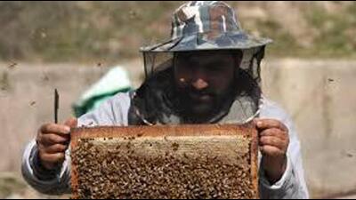 The brochure showcases success stories of local beekeepers who had transformed their businesses with PAU’s guidance and support (HT FIle)