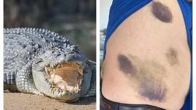 Ian Botham falls into river full of crocodiles and sharks, suffers bruises before being saved by ex-Australia rival Ian Botham falls into river full of crocodiles and sharks, suffers bruises before being saved by ex-Australia rival