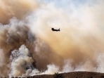 CORRECTION / TOPSHOT - A fire helicopter flies toward the Mountain Fire�s plume as it scorches acres, the wildfire fueled by strong Santa Ana winds, in Moorpark, California, on November 7, 2024. Thousands of people were urged to flee an out-of-control wildfire burning around communities near Los Angeles on November 7, with scores of homes already lost to the fast-moving flames.
Fierce seasonal winds had cast embers up to three miles (five kilometers) from the seat of the fire around Camarillo, with new spots burning on hillsides, farmland and in residential areas.
