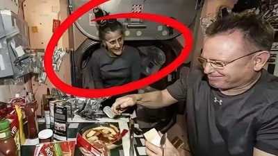 Shocking images showing a hollow-cheeked Sunita Williams have surfaced from onboard the International Space Station (ISS). (X/@thinking_panda) Shocking images showing a hollow-cheeked Sunita Williams have surfaced from onboard the International Space Station (ISS). (X/@thinking_panda)