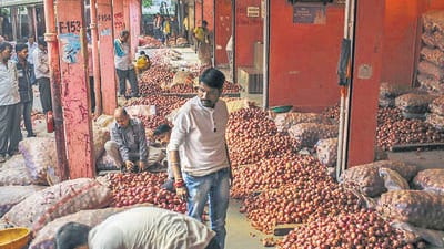 Nashik, India’s largest onion-producing district, hosts the Lasalgaon wholesale market, the country’s biggest for onions. Farmers are currently earning over ₹6,000 per quintal for their summer crop, with prices expected to stay high until new stock arrives. (REPRESENTATIVE PHOTO) Nashik, India’s largest onion-producing district, hosts the Lasalgaon wholesale market, the country’s biggest for onions. Farmers are currently earning over ₹6,000 per quintal for their summer crop, with prices expected to stay high until new stock arrives. (REPRESENTATIVE PHOTO)