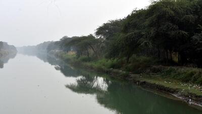 The 111km project — also known as the Kanwar Marg project —was greenlit by the UP forest department in January, and the proposal stated that 112,000 trees and shrubs will be felled in the protected forest area of three forest divisions — Ghaziabad, Meerut and Muzaffarnagar. (Sakib Ali/HT Photo) The 111km project — also known as the Kanwar Marg project —was greenlit by the UP forest department in January, and the proposal stated that 112,000 trees and shrubs will be felled in the protected forest area of three forest divisions — Ghaziabad, Meerut and Muzaffarnagar. (Sakib Ali/HT Photo)