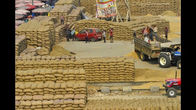 Workers carry sacks of paddy grain at a grain market, in Jalandhar. (PTI)