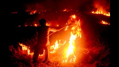 Last year, these districts recorded 23,410 cases of stubble burning, which was 64% of the total 36,663 cases reported last Kharif season from September 15 to November 30. (ANI Photo) (ANI File) Last year, these districts recorded 23,410 cases of stubble burning, which was 64% of the total 36,663 cases reported last Kharif season from September 15 to November 30. (ANI Photo) (ANI File)