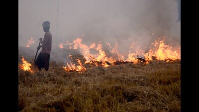 The Punjab Remote Sensing Centre (PRSC) starts recording farm fires from September 15 to November 30. (ANI File) The Punjab Remote Sensing Centre (PRSC) starts recording farm fires from September 15 to November 30. (ANI File)