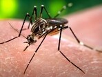 As of November 9, there have been 728 malaria cases and 172 Chikunguniya cases in Delhi