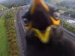 Angry myna bird hijacked a New Zealand traffic camera, going viral with its amusing antics. Angry myna bird hijacked a New Zealand traffic camera, going viral with its amusing antics.